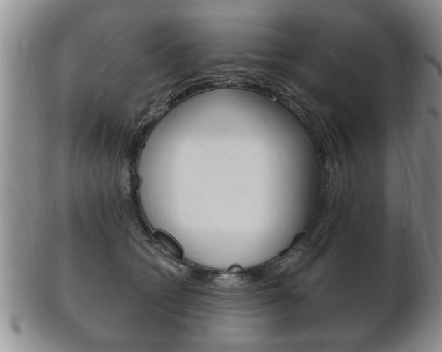 X0000102500562200808080947