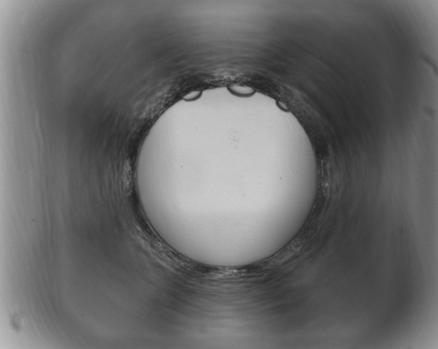 X0000102500563200808080947