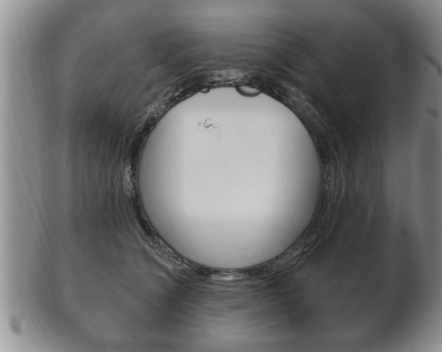 X0000102500564200808080947
