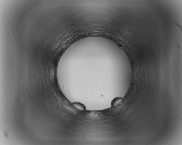 X0000102500566200808080947