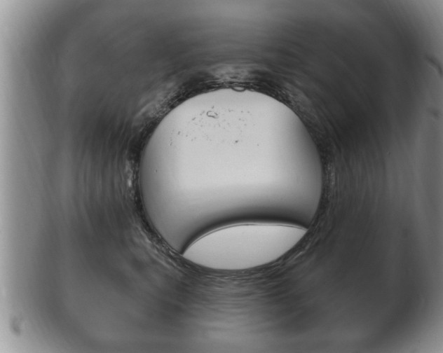 X0000102500567200808080947