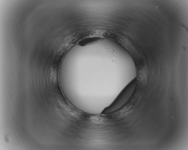 X0000102500568200808080947
