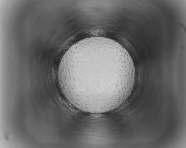 X0000102500569200808080947