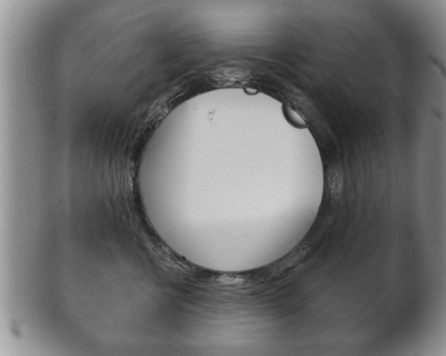 X0000102500570200808080947