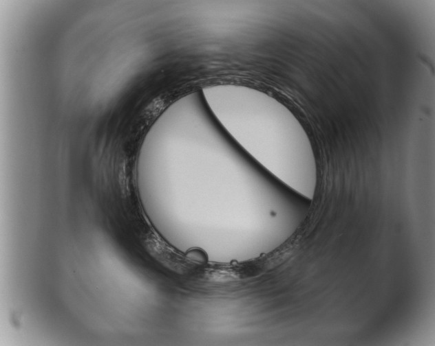 X0000102500572200808080947