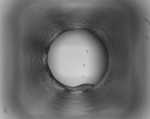X0000102500576200808080947