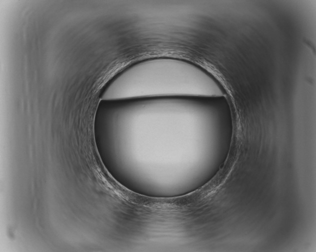 X0000102500577200808080947