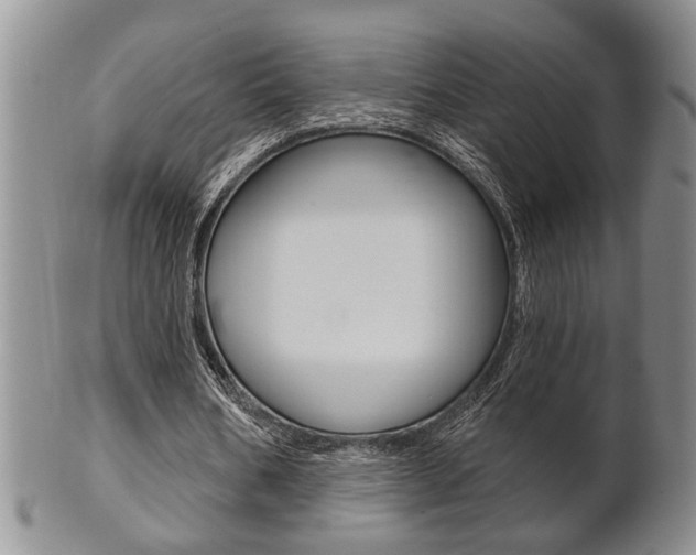 X0000102500578200808080947