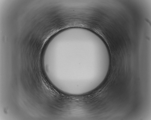 X0000102500579200808080947