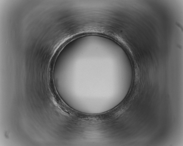 X0000102500580200808080947