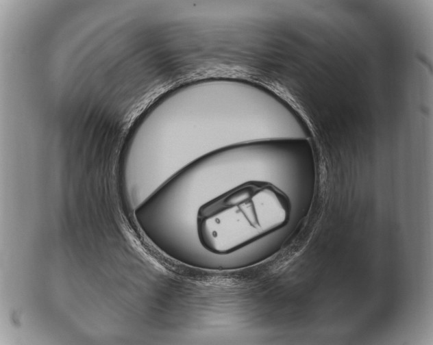 X0000102500581200808080947