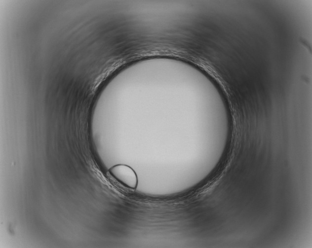 X0000102500585200808080947