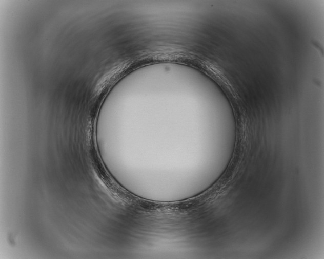 X0000102500586200808080947