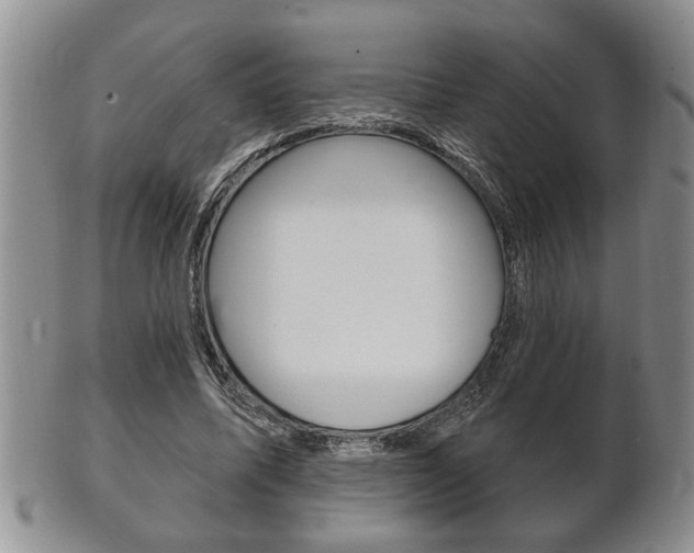 X0000102500587200808080946