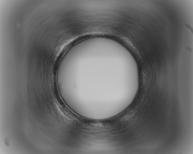 X0000102500588200808080946