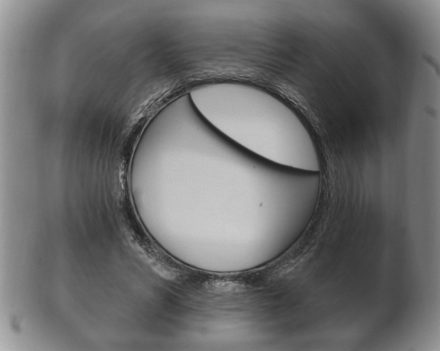 X0000102500590200808080946