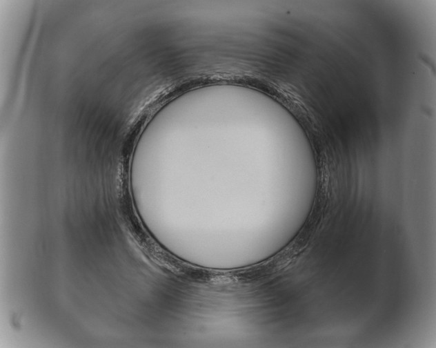 X0000102500591200808080946