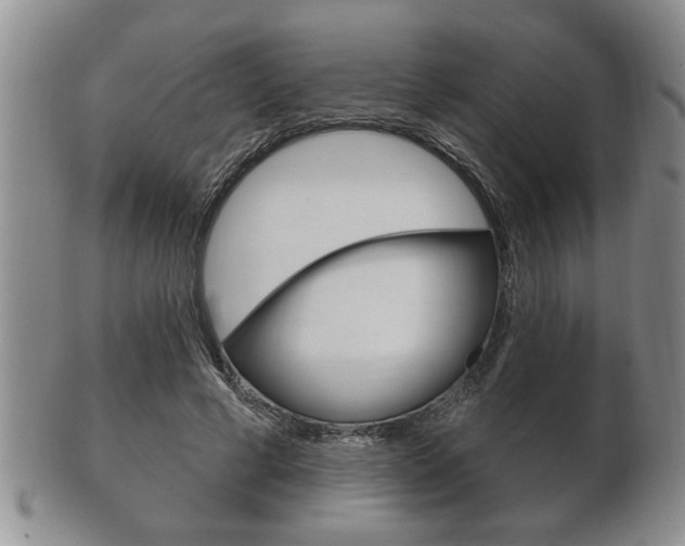 X0000102500593200808080946