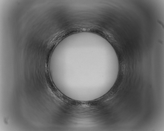 X0000102500594200808080946
