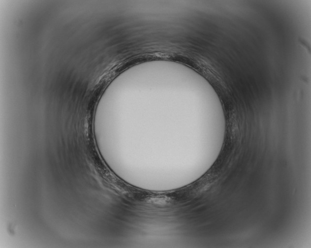 X0000102500595200808080946