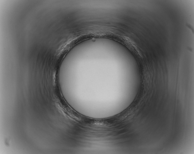 X0000102500596200808080946