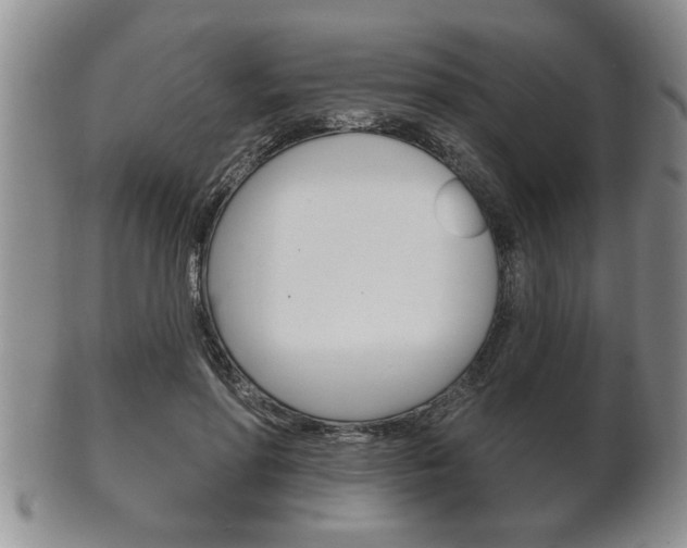 X0000102500598200808080946