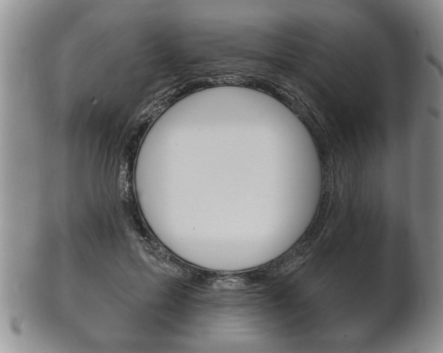 X0000102500599200808080946
