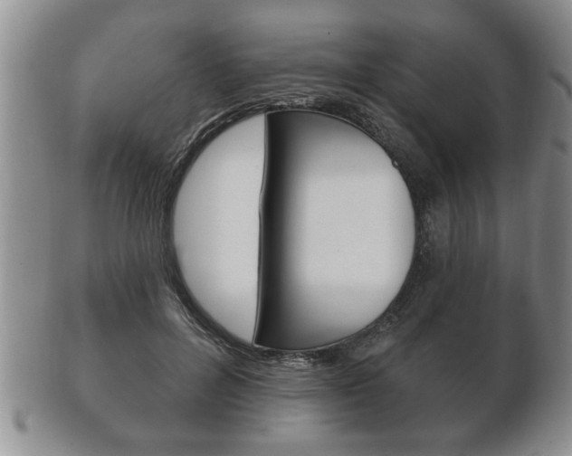 X0000102500600200808080946