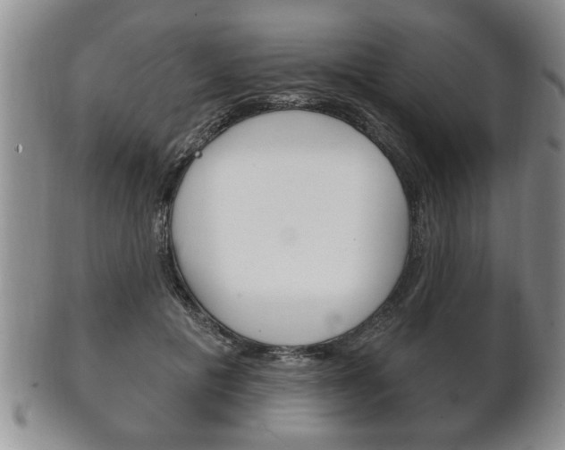 X0000102500601200808080946