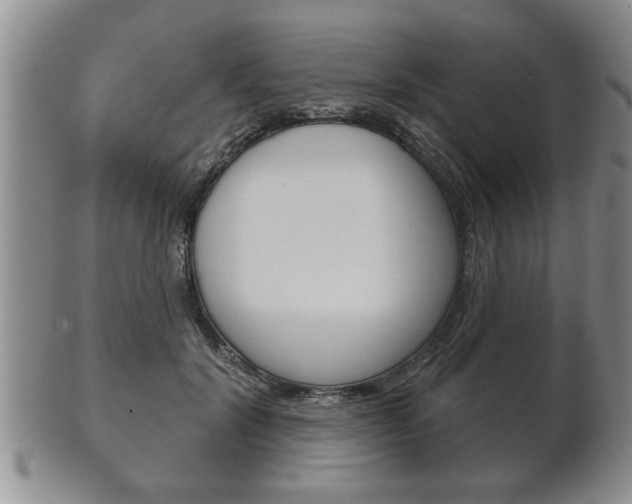 X0000102500604200808080946