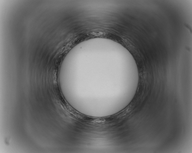 X0000102500606200808080946