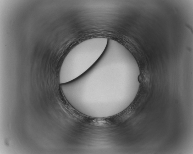 X0000102500607200808080946
