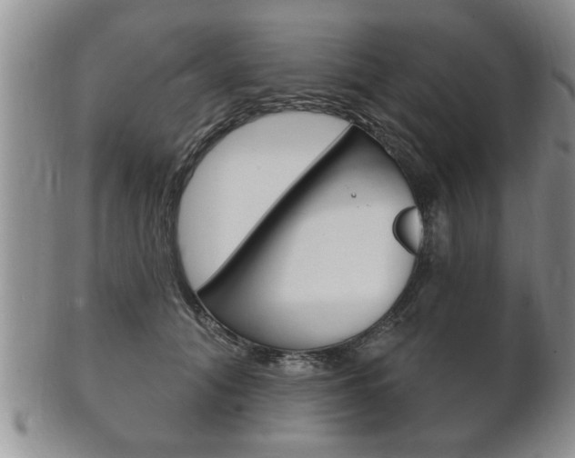 X0000102500608200808080946