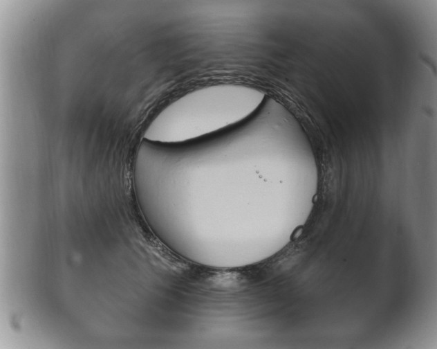 X0000102500609200808080946
