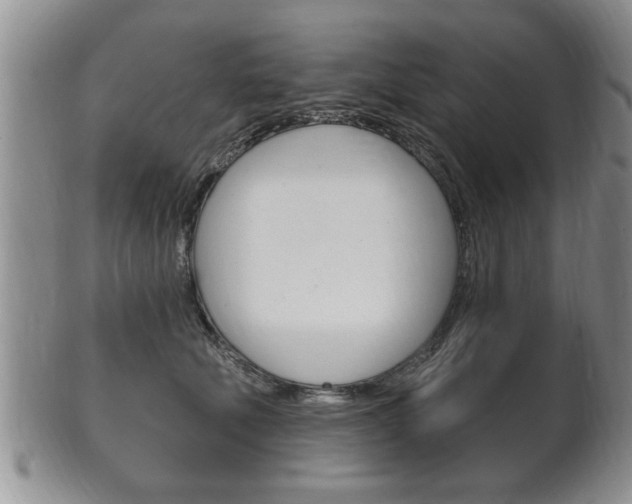 X0000102500610200808080946