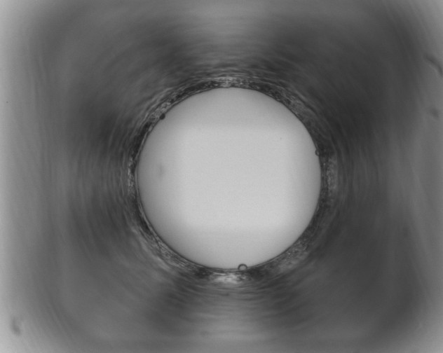X0000102500611200808080946
