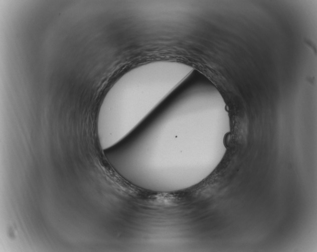 X0000102500612200808080946