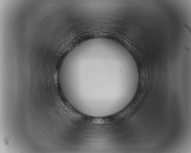 X0000102500613200808080946