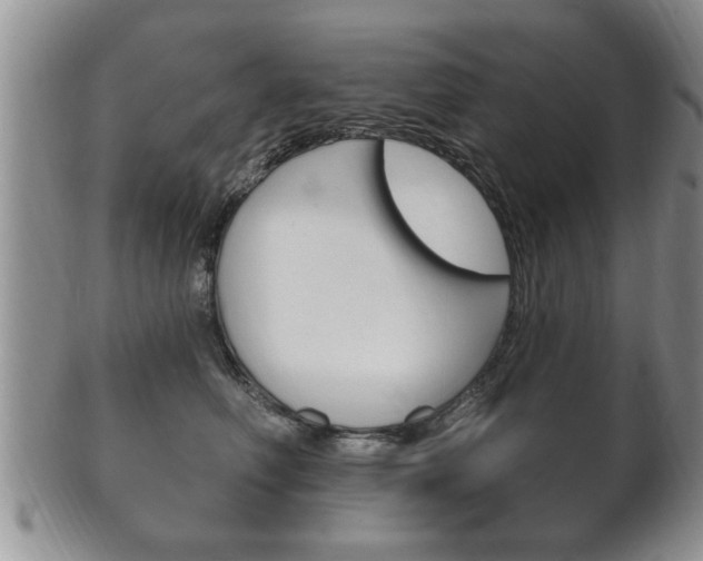 X0000102500614200808080946