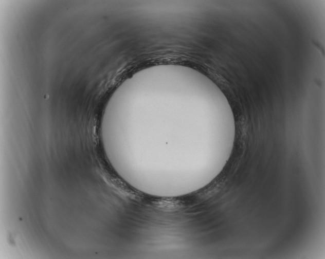 X0000102500615200808080946