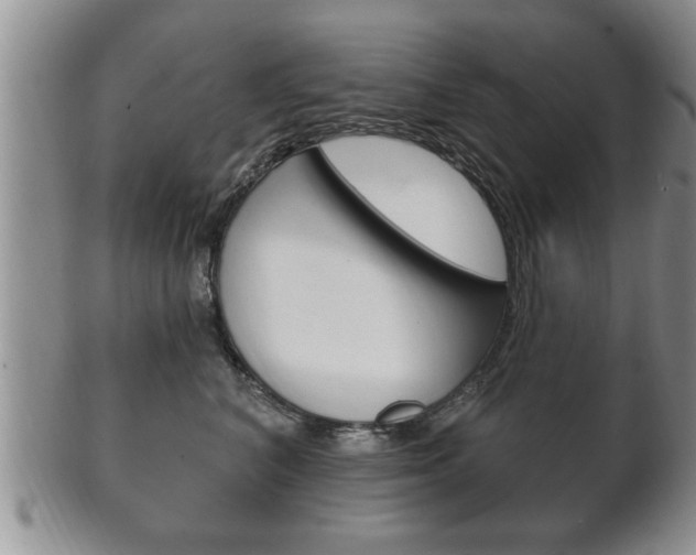 X0000102500616200808080946