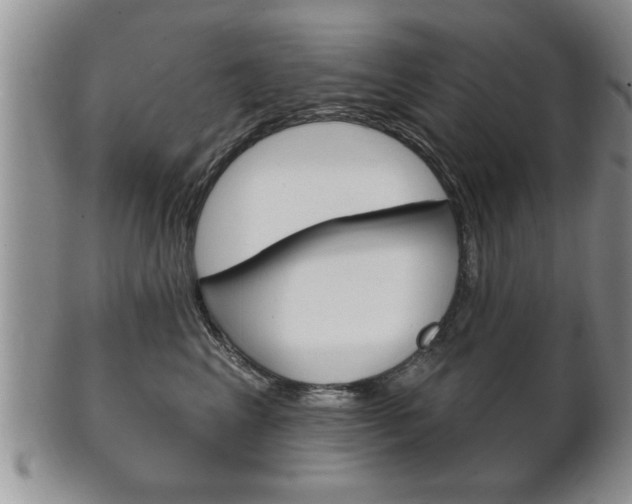 X0000102500617200808080946