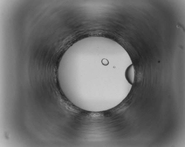 X0000102500619200808080946
