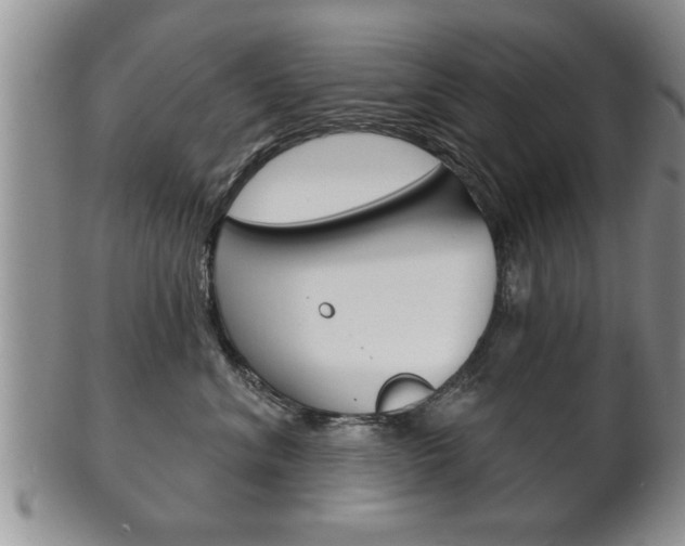 X0000102500620200808080946