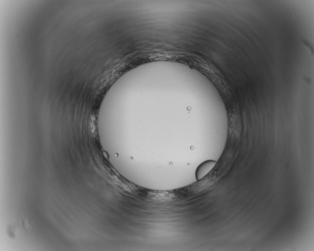 X0000102500621200808080946