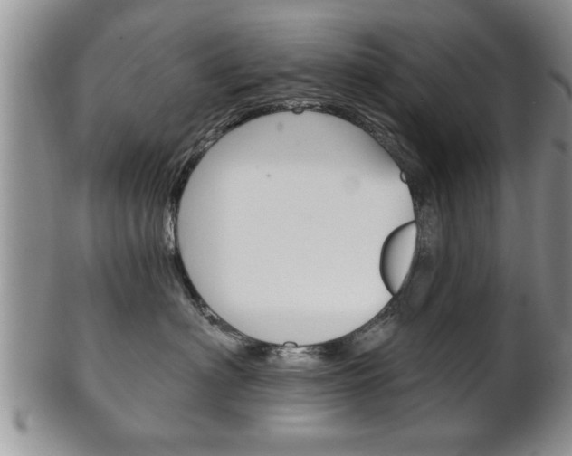X0000102500622200808080946