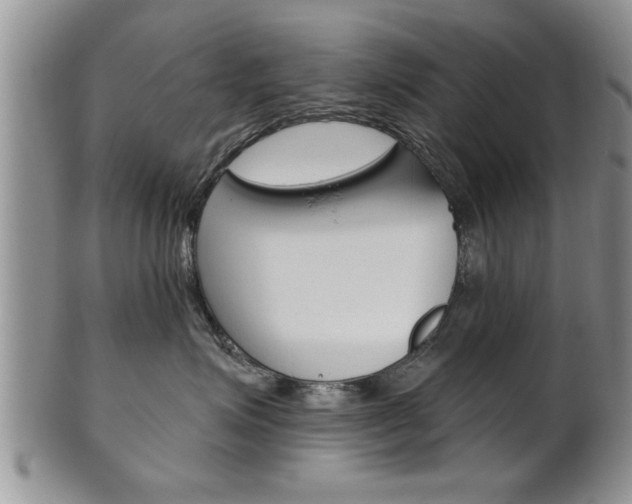 X0000102500623200808080946