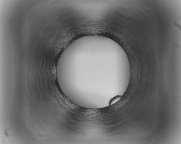 X0000102500624200808080946