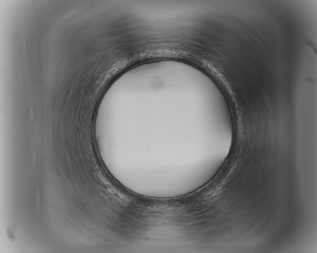 X0000102500625200808080945