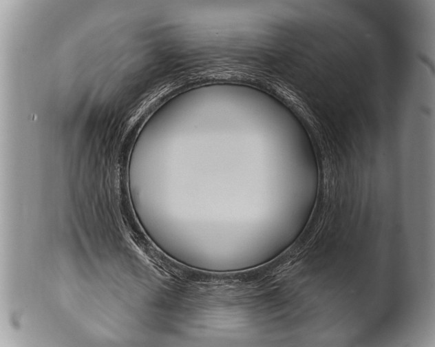 X0000102500626200808080945